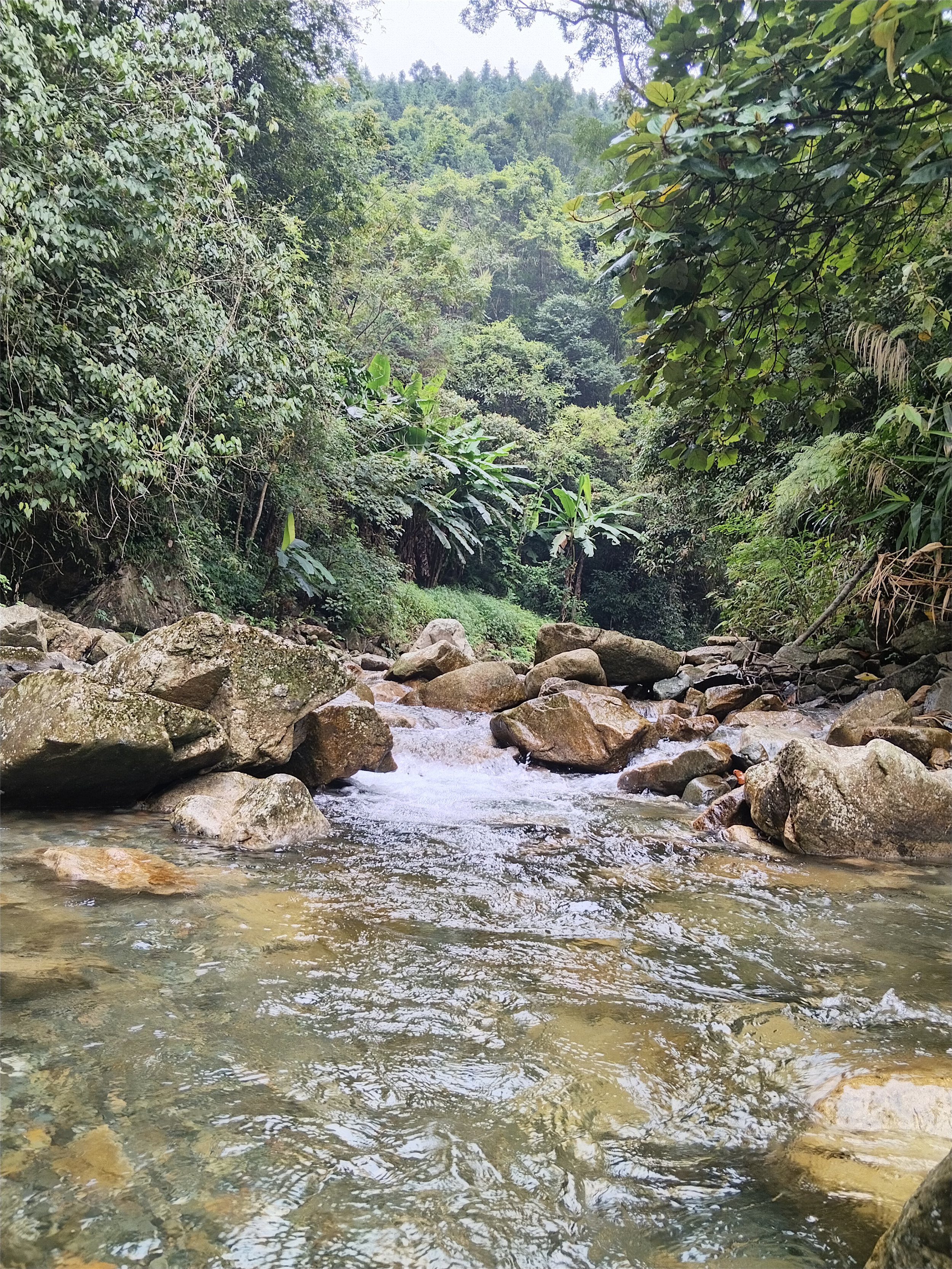 山泉水2.jpeg