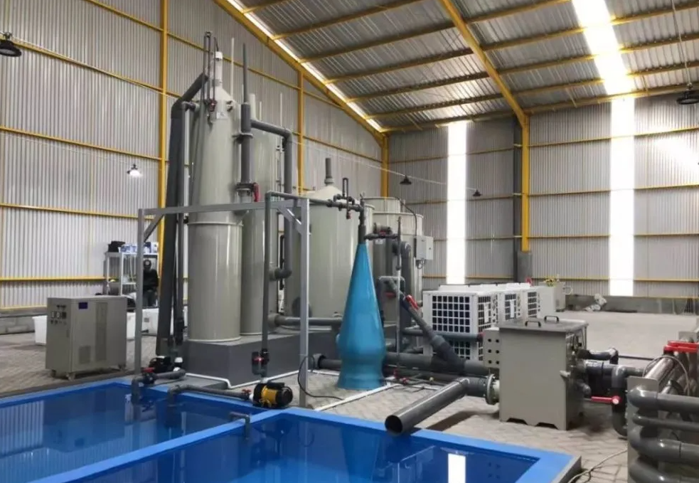 养鱼塘水质不好如何处理？